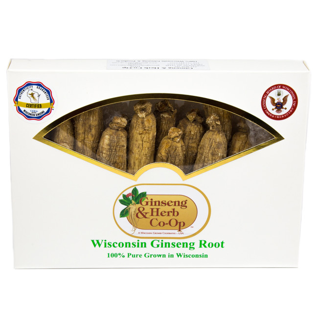 JUMBO Shorts (8oz) - LIMITED TIME ITEM