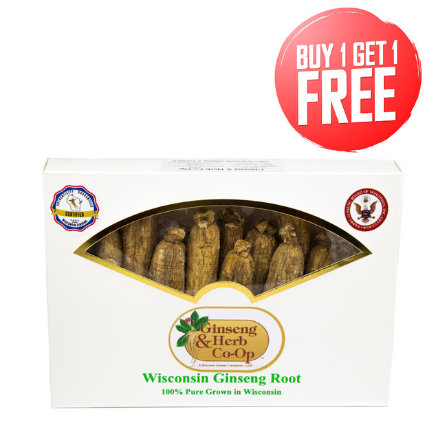 JUMBO Shorts (8oz) - LIMITED TIME ITEM