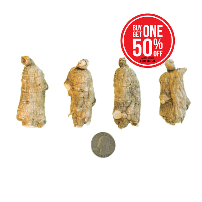 JUMBO Pearls (8oz) - LIMITED TIME ITEM