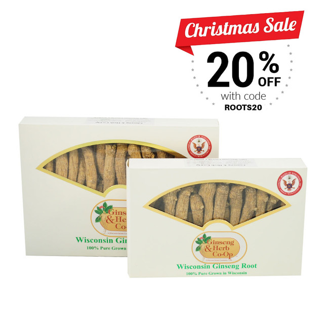 Medium Short Wisconsin Ginseng