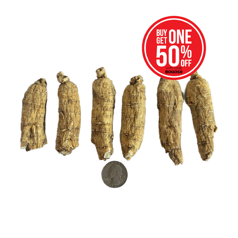 JUMBO Shorts (8oz) - LIMITED TIME ITEM