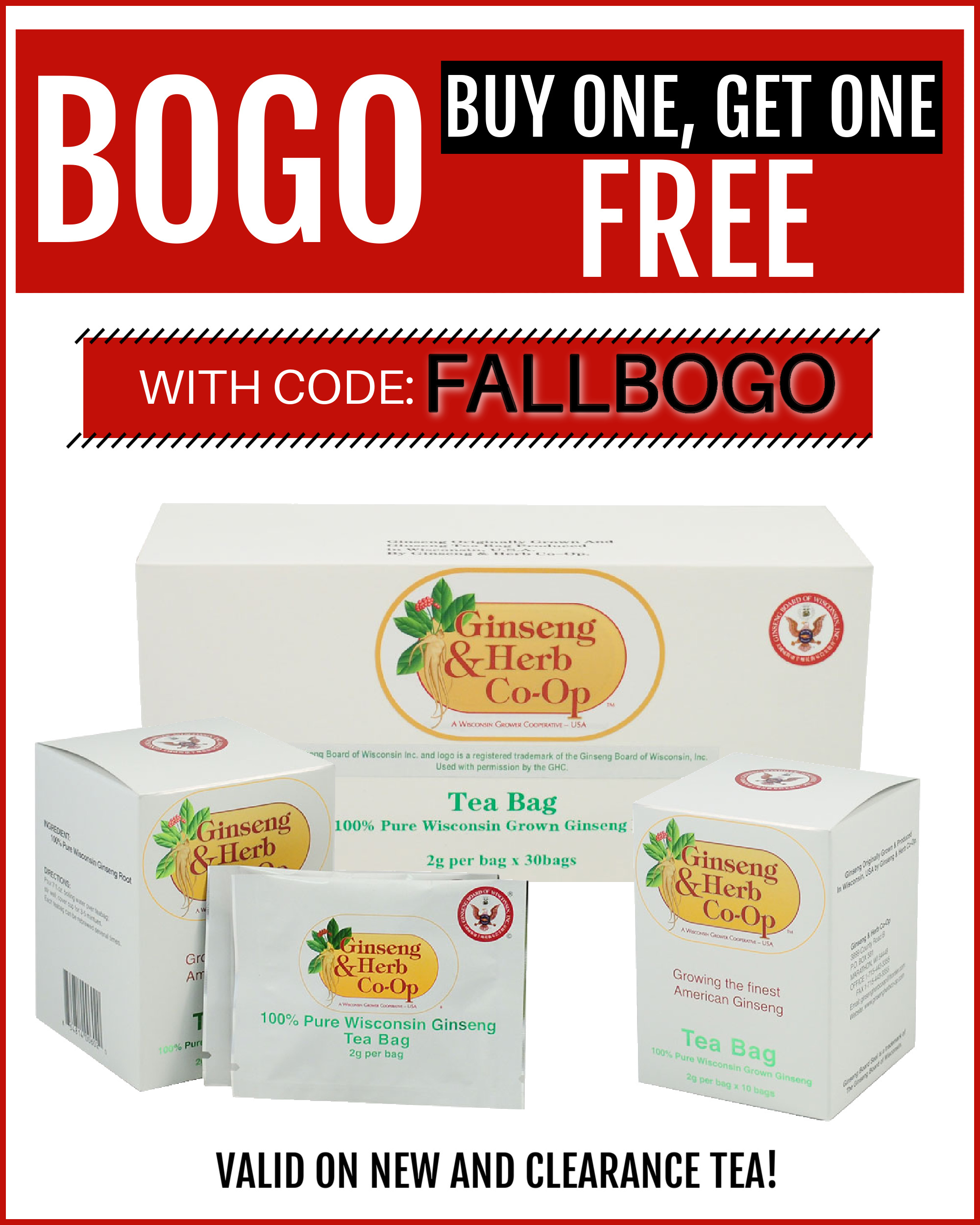 fallbogo-.jpg