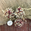 Organic Egyptian Walking Onion Topset Clusters