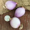 Organic Egyptian Walking Mother Bulb