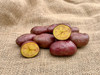 ORGANIC FRENCH FINGERLING POTATO