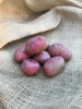 ORGANIC HUCKLEBERRY RED POTATO