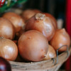 Organic Patterson Onion Transplant