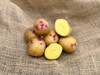ORGANIC SMILIN' EYES POTATO