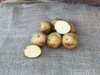 ORGANIC WARBA POTATO
