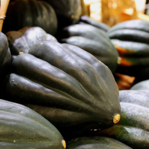 Organic Table King Acorn Squash