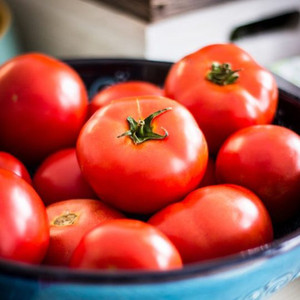 Organic Early Wonder Tomato