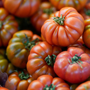 Organic Brandywine Red Tomato
