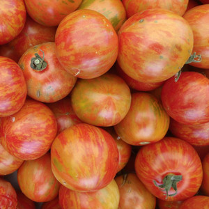 Organic Fireworks Tomato