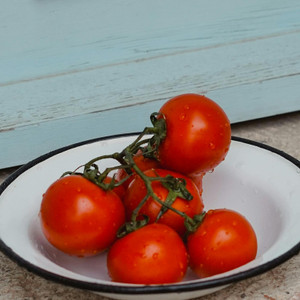 Organic Polar Beauty Tomato