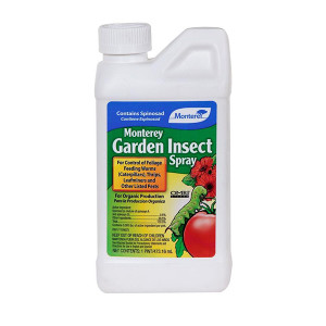 Monterey Insect Spray (1 Pint)