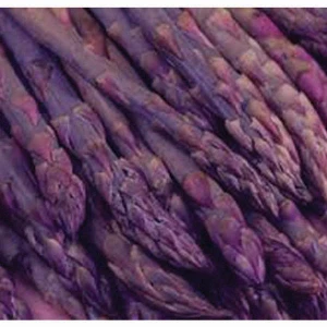 Conventional Purple Passion Asparagus Crowns