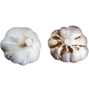 Organic German Red (Rocambole)