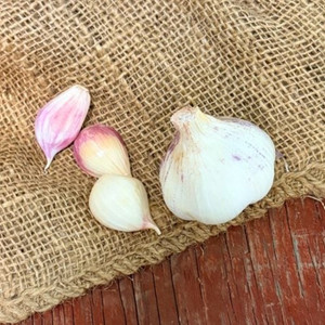 Organic Inchelium Red Bulk (Artichoke)