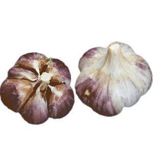 Organic Metechi (Marbled Purple Stripe)