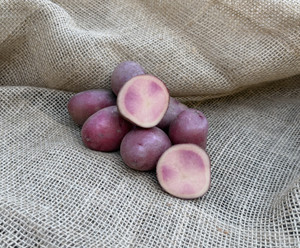 Organic Huckleberry Red Potato
