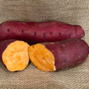 Organic Bayou Belle Sweet Potato