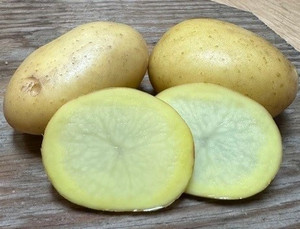 Organic Arizona Gold Potato