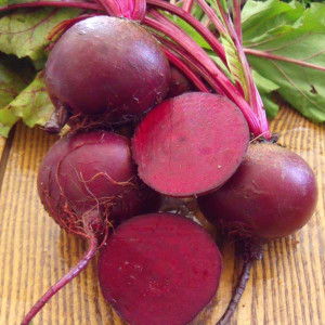 Detroit Dark Red Beet