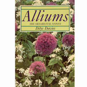 Alliums Ornamental Onions
