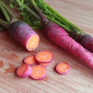 Organic Cosmic Purple Carrot