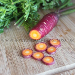 Organic Dragon Carrot