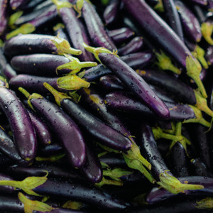 Organic Long Purple Eggplant