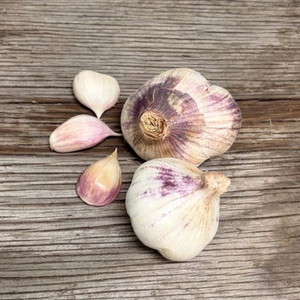 Organic Early Italian Purple (Artichoke)