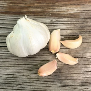 Organic Silver Rose (Silverskin)