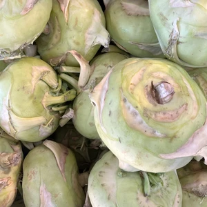 Organic Early White Vienna Kohlrabi
