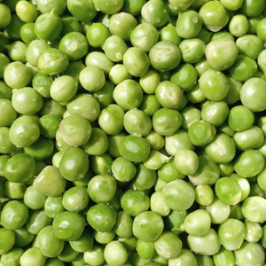 Organic Blue Shelling Pea