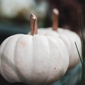 Organic Casper Pumpkin