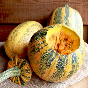 Organic Lady Godiva Pumpkin
