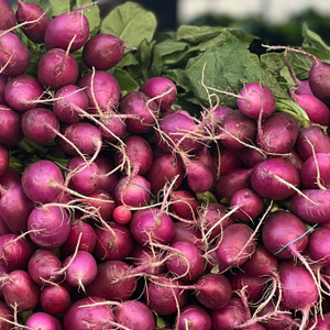 Organic Purple Beauty Radish