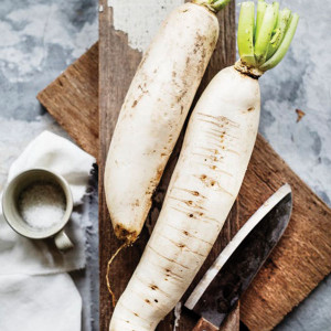 Organic Daikon Radish