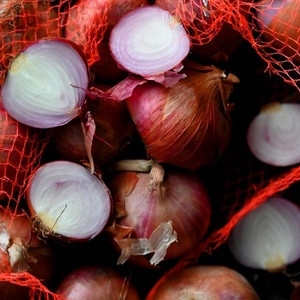 Organic Holland Red Shallot