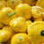 Organic Scallop Golden Bush Squash