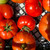 Organic Sasha'S Pride Tomato