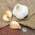 Organic Elephant Garlic Cloves Bulk
