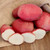 Organic Dark Red Norland Potato