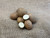 Organic Russet Burbank Potato