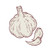 Tattoo of Garlic - Organic