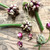 ORGANIC EGYPTIAN WALKING ONIONS
