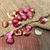 ORGANIC EGYPTIAN WALKING ONIONS