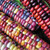 Organic Painted Mountain Corn