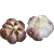 Naturally Grown Metechi Bulk (Marbled Purple Stripe)
